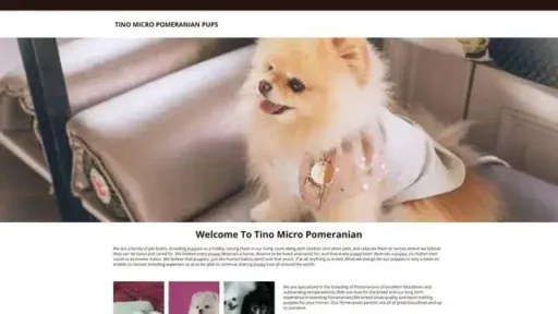 Screenshot of