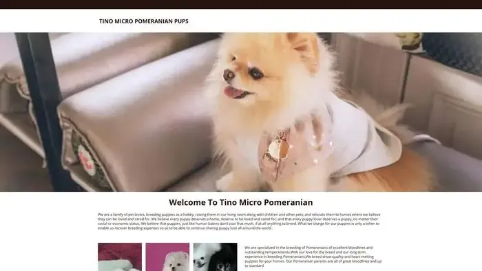 Screenshot of