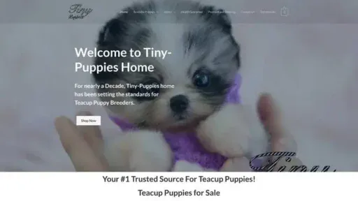 Screenshot of