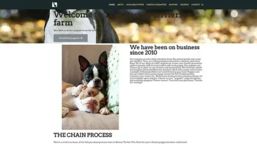 Screenshot of