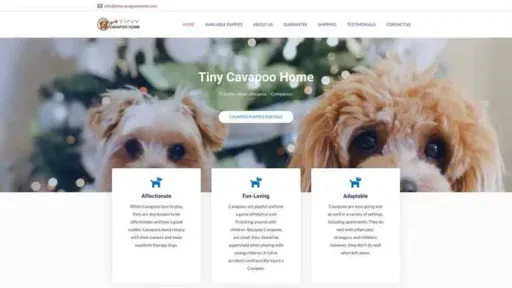 Screenshot of