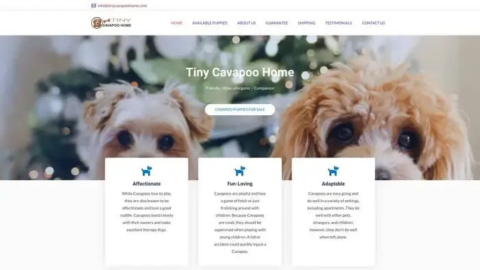 Screenshot of