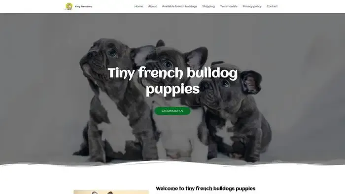 Screenshot of