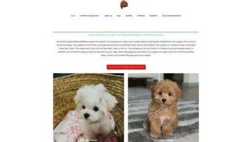 Screenshot of