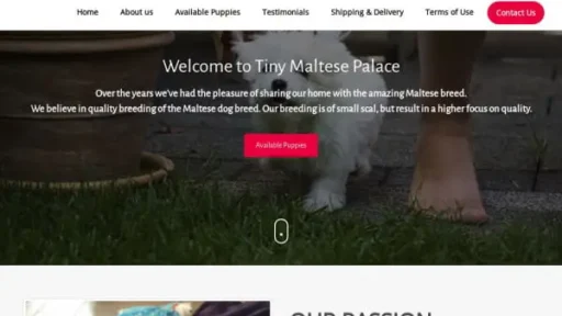 Screenshot of