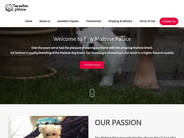 Screenshot of
