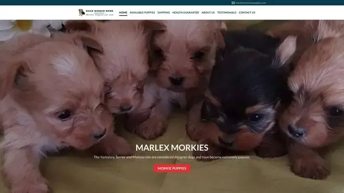 Screenshot of