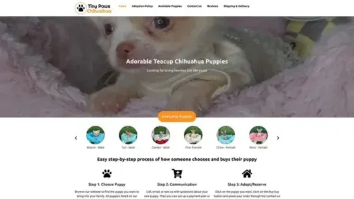 Screenshot of||