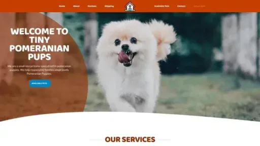 Screenshot of