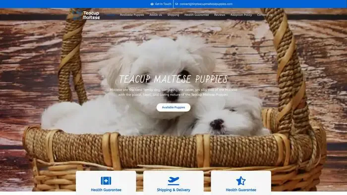 Screenshot of