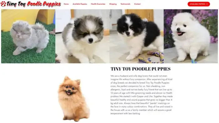 Screenshot of