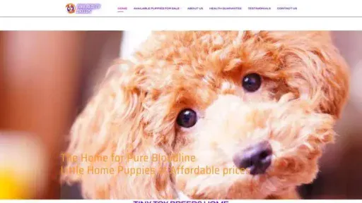 Screenshot of