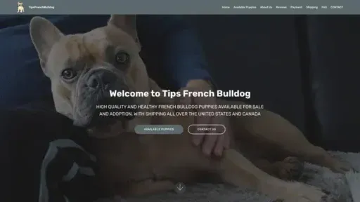 Screenshot of