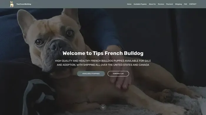 Screenshot of