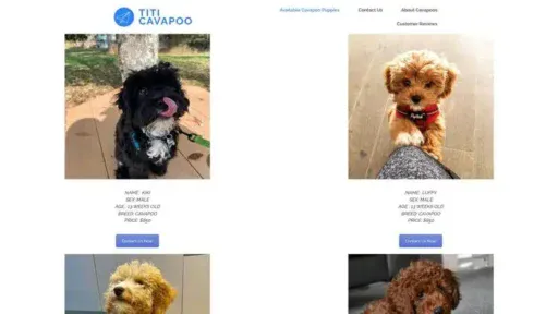 Screenshot of