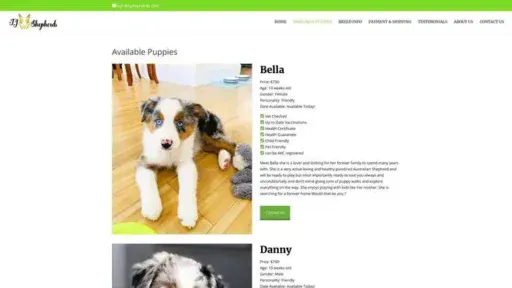 Screenshot of