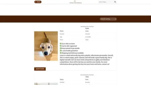 Screenshot of