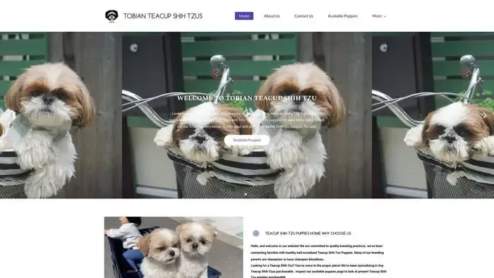 Screenshot of