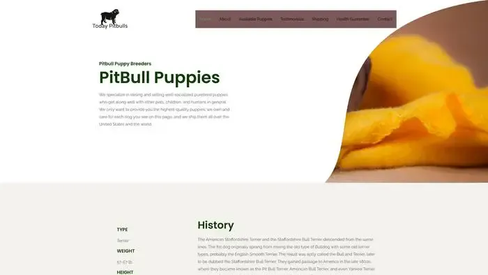 Screenshot of