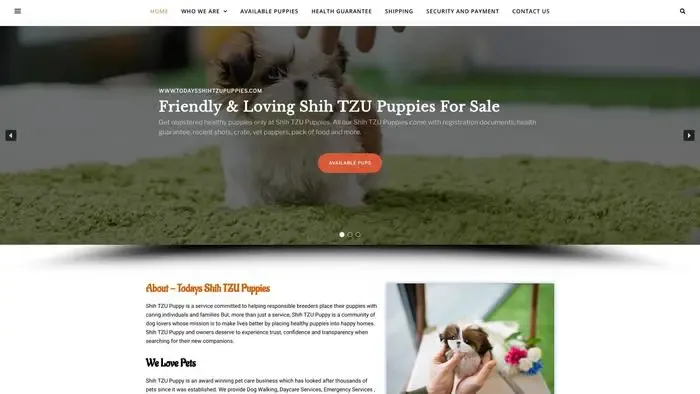 Screenshot of