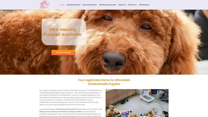 Screenshot of