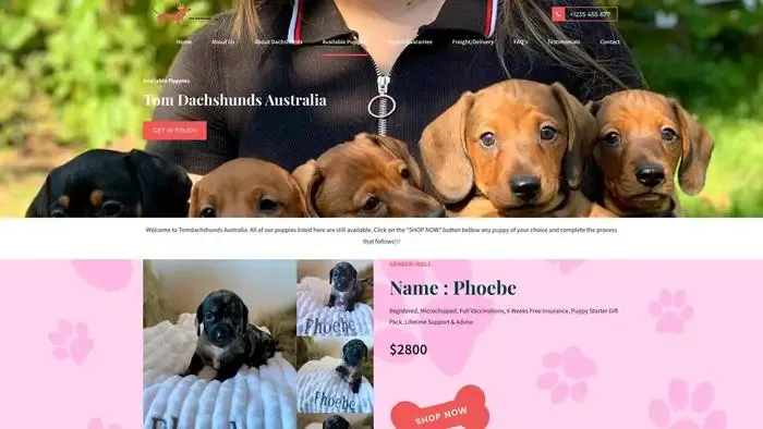 Screenshot of