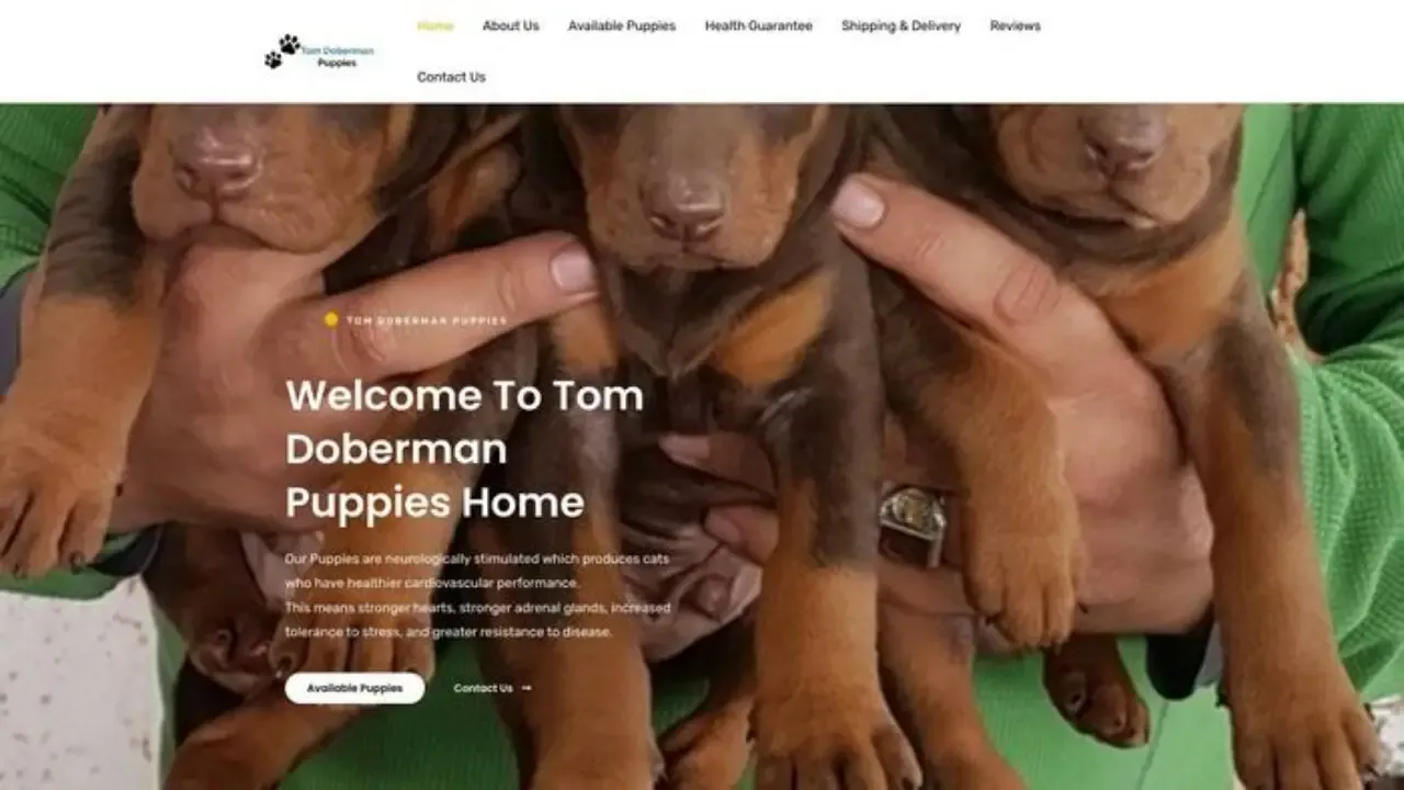 Tomdobermanspups