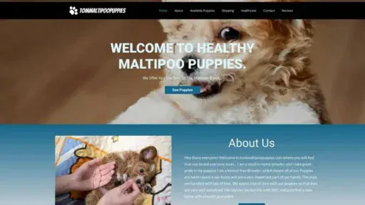 Screenshot of