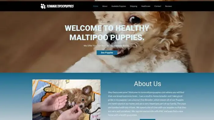 Screenshot of