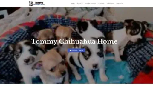 Screenshot of
