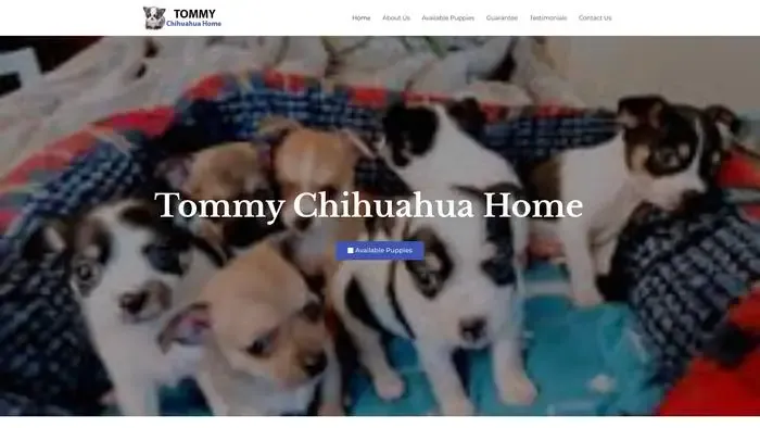 Screenshot of