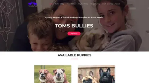Screenshot of