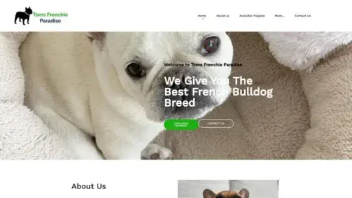 Screenshot of