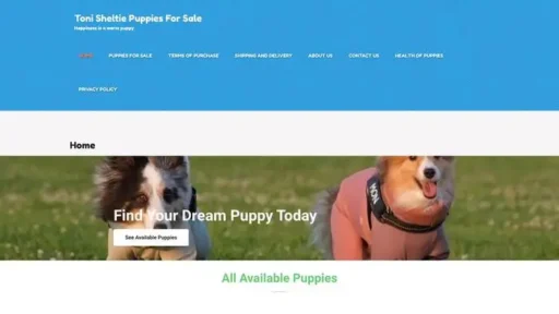 Screenshot of