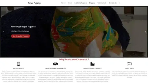 Screenshot of