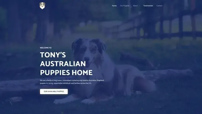 Screenshot of