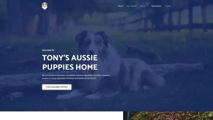 Screenshot of