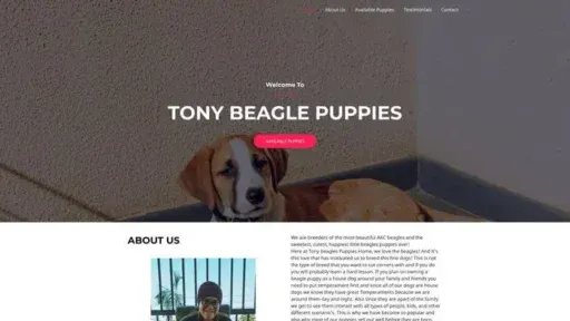 Screenshot of