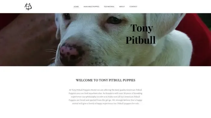 Screenshot of