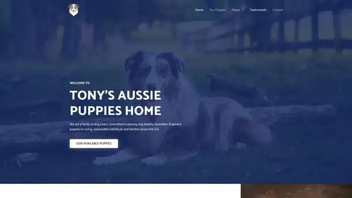 Screenshot of