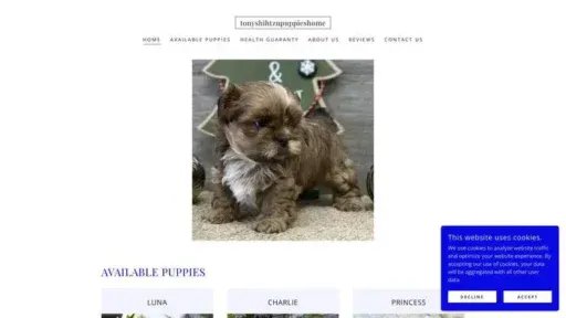 Screenshot of