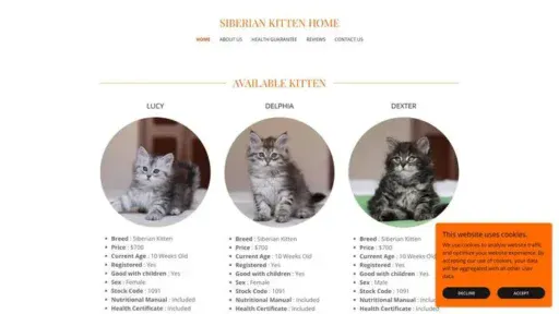 Screenshot of