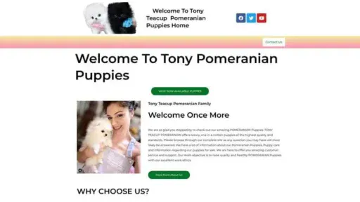 Screenshot of