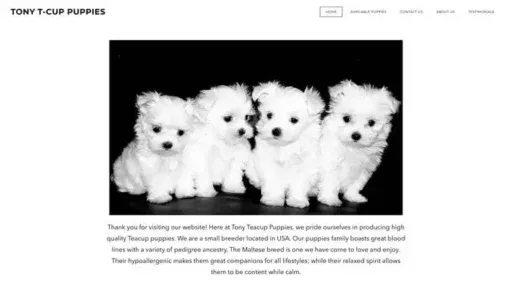 Screenshot of