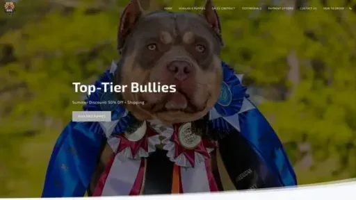 Screenshot of