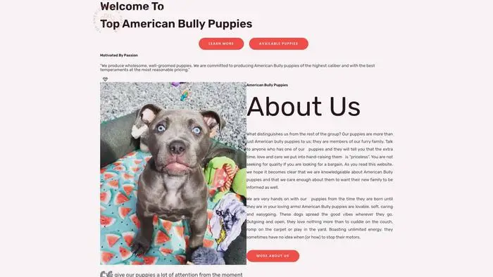 Screenshot of
