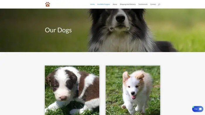 Screenshot of