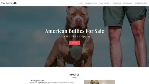 Screenshot of