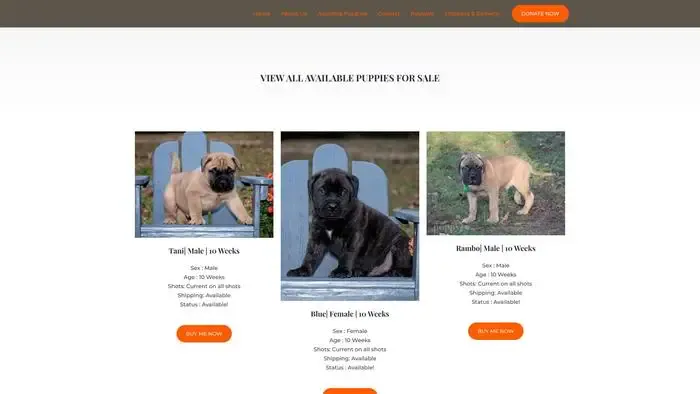 Screenshot of