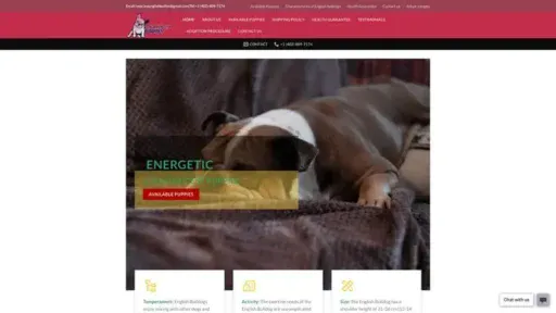 Screenshot of